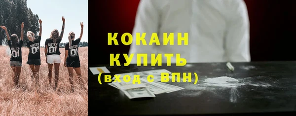 мет Елабуга