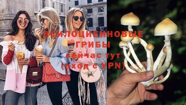 2c-b Дмитриев